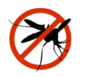 Mosquitos November Commentary